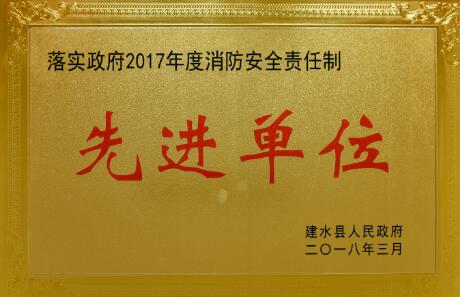  我院荣获“落实政府2017年度消防安全责任制先进单位”称号