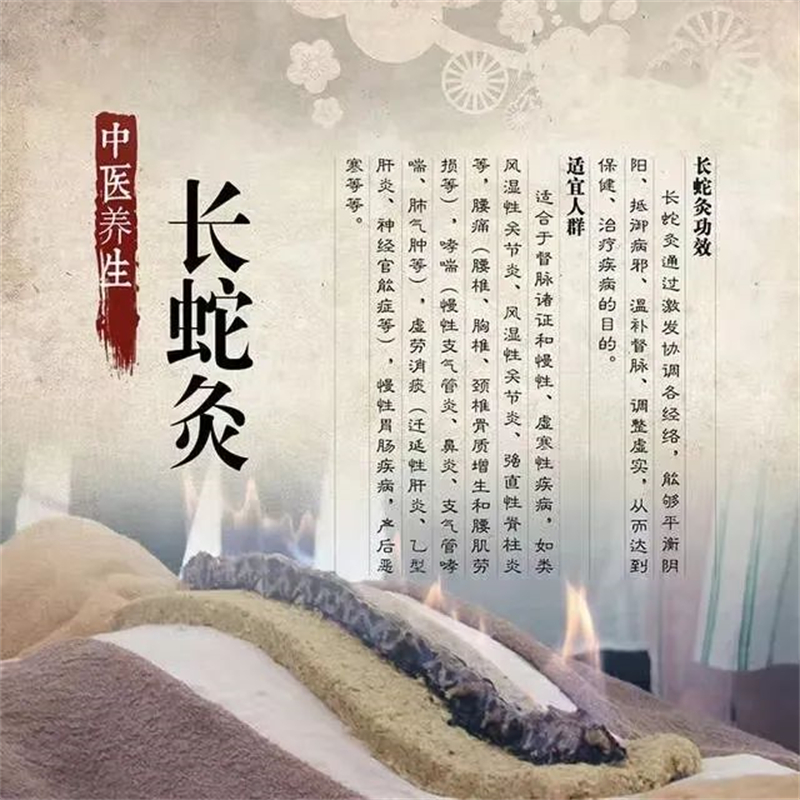  扶阳固本 未病先防—炎炎夏日，长蛇灸还你一身正气