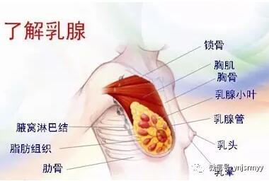  【医讯】关注乳房健康——省级专家到建水县人民医院坐诊