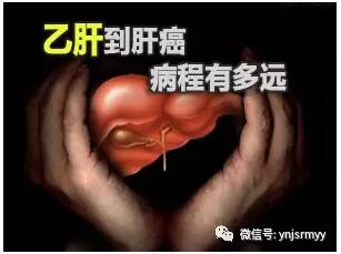  【馨康园】从乙肝到肝癌，究竟有多远？