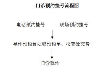  医院预约挂号须知及流程