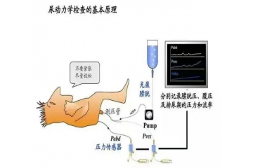  【健康科普】揭秘尿路：动力学之旅-----尿动力学检查在临床中的应用